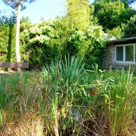 בית נופש Maison Chaleureuse Proche De Avec Un Grand Jardin *